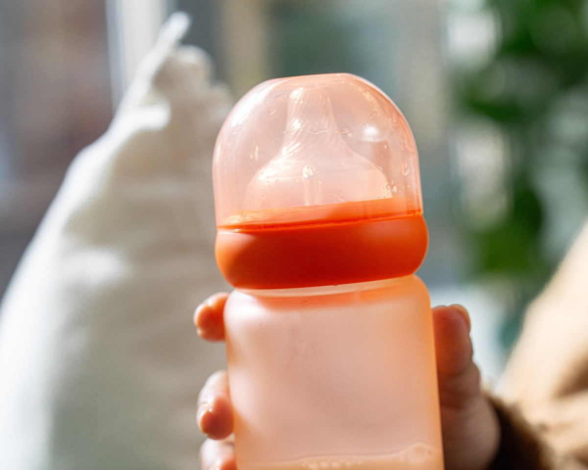 A hand holding The Wrapped Glass Bottle in window light